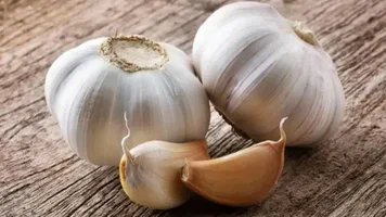 قیمت پیاز موسیر